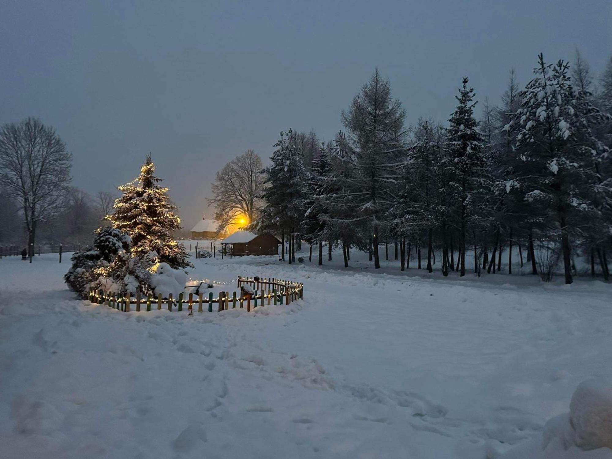 Latarnia Wagabundy Bieszczady Otel Wola Michowa Dış mekan fotoğraf