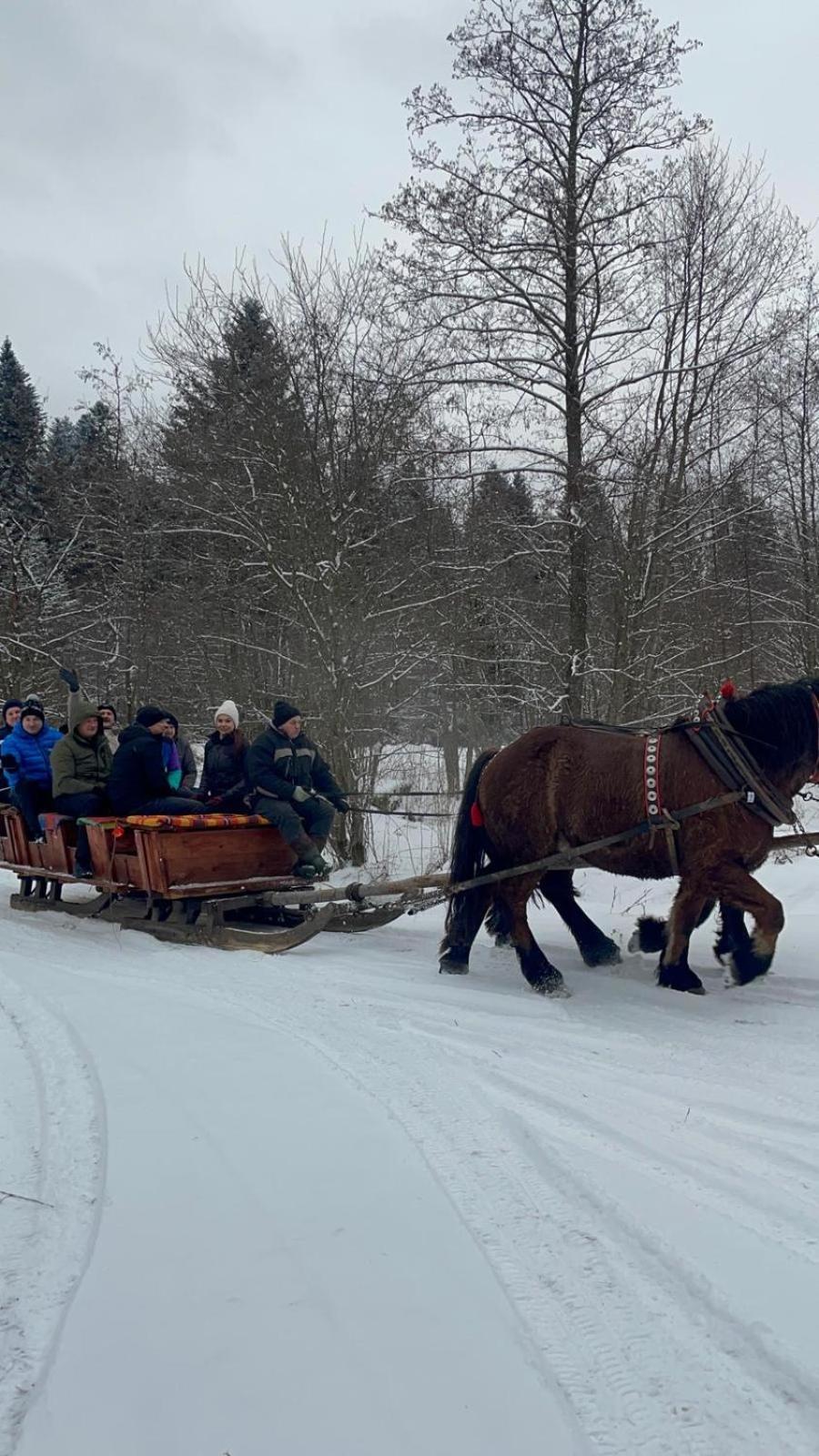 Latarnia Wagabundy Bieszczady Otel Wola Michowa Dış mekan fotoğraf