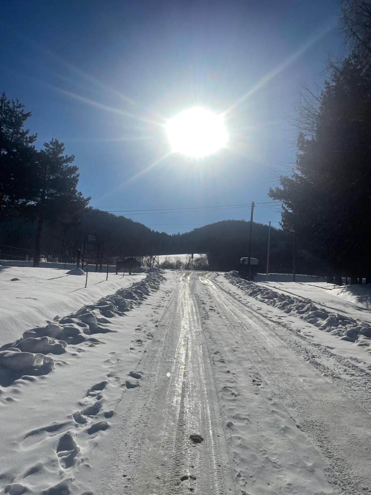Latarnia Wagabundy Bieszczady Otel Wola Michowa Dış mekan fotoğraf