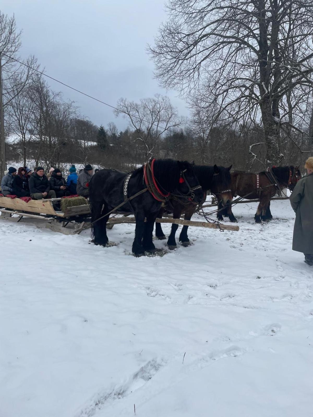 Latarnia Wagabundy Bieszczady Otel Wola Michowa Dış mekan fotoğraf