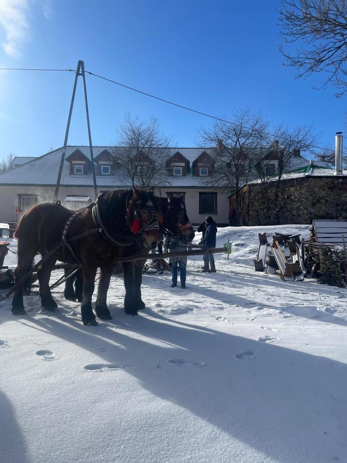 Latarnia Wagabundy Bieszczady Otel Wola Michowa Dış mekan fotoğraf