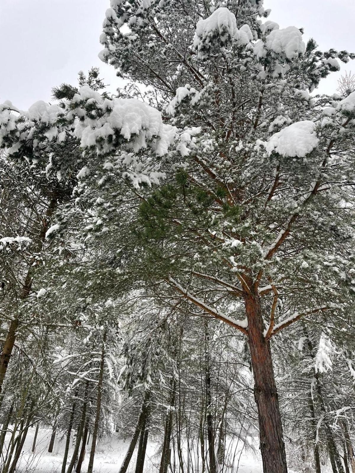 Latarnia Wagabundy Bieszczady Otel Wola Michowa Dış mekan fotoğraf