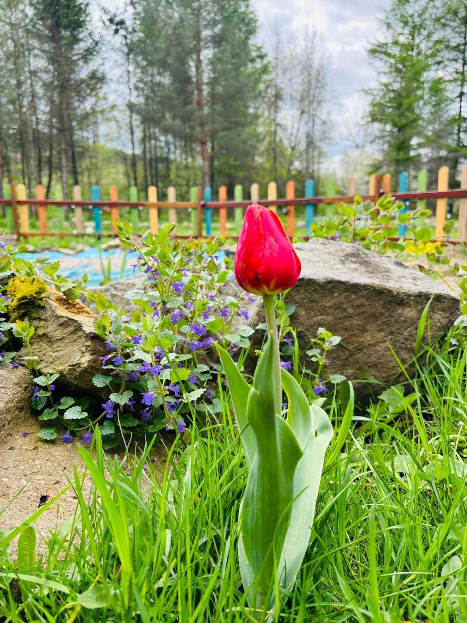 Latarnia Wagabundy Bieszczady Otel Wola Michowa Dış mekan fotoğraf