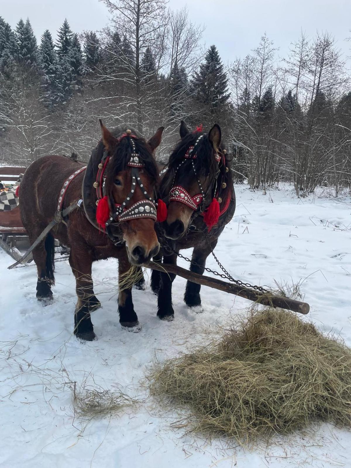 Latarnia Wagabundy Bieszczady Otel Wola Michowa Dış mekan fotoğraf