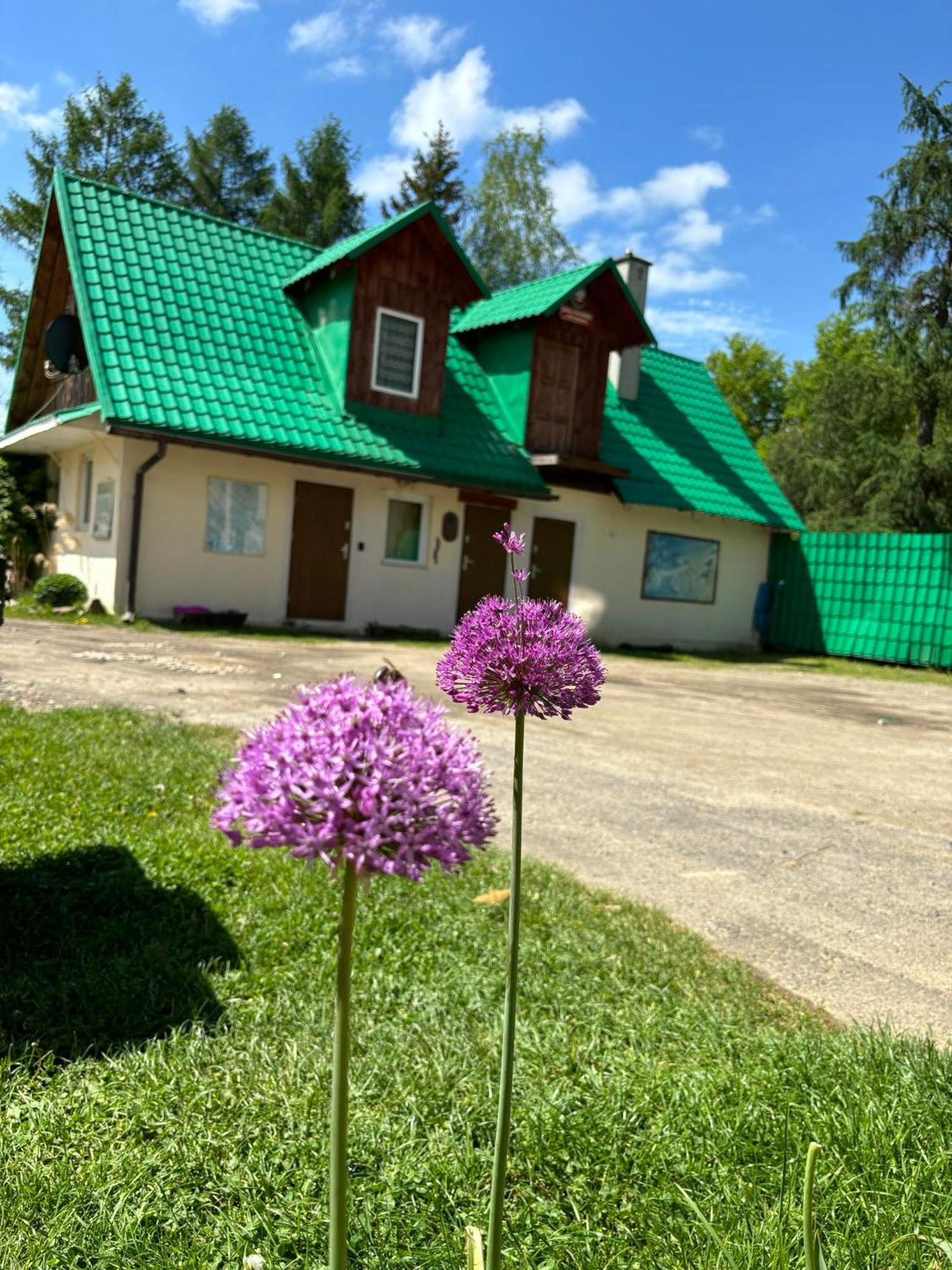 Latarnia Wagabundy Bieszczady Otel Wola Michowa Dış mekan fotoğraf