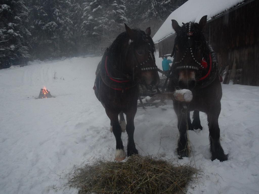 Latarnia Wagabundy Bieszczady Otel Wola Michowa Dış mekan fotoğraf